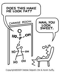Chemistry Joke Chemistry Jokes Science Jokes Biology Humor