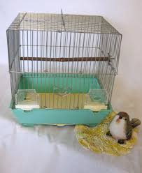 From shizuoka prefecture if you look up out towards mt. Sale Vintage Hoei Bird Cage Vintage Teal Bird Cage Made In Japan Bird Cage From Made Of Flaws Bird Cage Teal Bird Bird