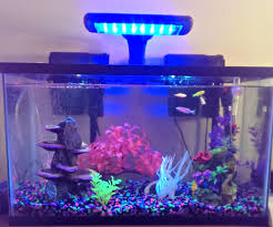 Aug 21, 2018 · turn off the aquarium lights and dim the lights in the room. Setting Up A Fish Tank 9 Steps With Pictures Instructables