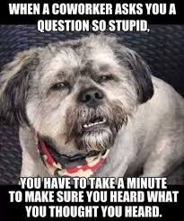 Funny Pictures 36 Pics Funny Coworker Memes Work Memes Work Humor