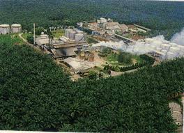 Through its subsidiaries, the company also develops housings, invests in properties, manages golf clubs, and operates hotels. Use Of The Deterioration Of Bleachability Index Dobi To Characterise The Quality Of Crude Palm Oil Pdf Free Download