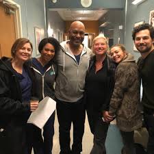 She joined the series as a guest at the end of the tenth season, becoming a series regular in the eleventh season. Pin De Lauriane Em G R E Y S P I N S Grey S Anatomy Elenco Grey S Anatomy Series E Filmes