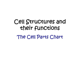 Cell Structures And Their Functions Ppt Download