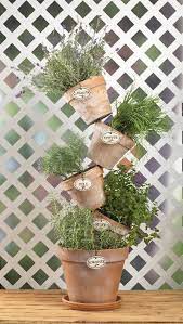35 Herb Container Gardens Pots Planters Saturday Inspiration Ideas Bystephanielynn Herb Garden Pots Herb Containers Herb Pots