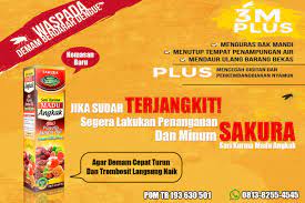 Pin Di Asli 0812 1981 4218 Angkak Obat Dbd
