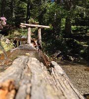 Spina camping village cesenatico camping village camping norina campeggio pian dei boschi camping village free time sardinia camping cala gonone camping village lago maggiore desenzano camping village camping malga ciapela marmolada. Camping Malga Ciapela Marmolada Campground Reviews Rocca Pietore Italy Tripadvisor