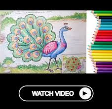 How To Draw A Peacock Step By Step In Easy Method Drawing For Children Toddlers Learning Drawing For Kids Peacock Drawing Kids Watercolor This is another method for having your rangolis made. how to draw a peacock step by step in