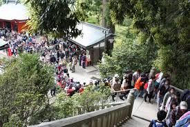 高尾山マガジン