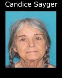 Missing dog Miley in Carthage area, last seen