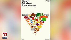 Image result for Nutrition Guidelines