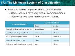 17 1 The Linnaean System Of Classification Key