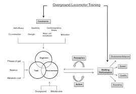 More images for newell's model of constraints » Newell S Model Of Interacting Constraints Adapted To Illustrate The Download Scientific Diagram