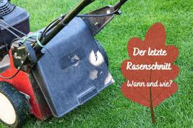 Nach der neusaat braucht der junge rasen ruhe und täglich viel wasser, um schnell wachsen zu können. Letzter Rasenschnitt Vor Dem Winter Wann Rasen Mahen Gartenlexikon De