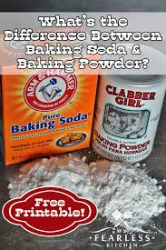 What S The Difference Between Baking Soda And Baking Powder From My Fearless Kitchen Have You Ever Be With Images Baking Soda Baking Powder Baking Soda Coffe Cake Recipes
