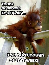 What does thank god it's friday expression mean? Thank God It S Friday Tgif Steemit