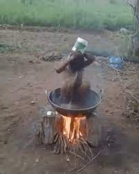 終於可以洗熱水澡了 行動網路電視台 funny gif funny vid cool gifs