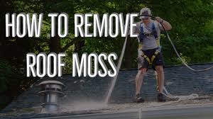 Removing moss, mildew, fungus and associated stains on roofs. How To Remove Roof Moss And Keep It Away Youtube
