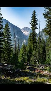 Wesley Turner Photography