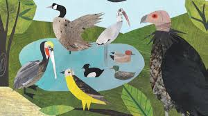 Alternatively, you can use nokomis mail order book store, they specialize in natural history books for australia and all over the world. Ten Birdy Children S Books To Read With Your Fledglings Audubon
