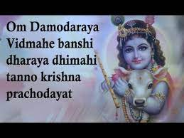 Om Damodaraya Vidmahe Banshi Dharaya Dhimahi Tanno Krishna Prachodayat Lord Krishna Mantra Youtube