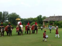 Elephant polo tournament raises money for animal welfare charities подробнее. Dera Amer Elephant Polo Picture Of Dera Amer Elephant Safari Jaipur Tripadvisor