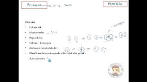 Mas dayat matematika peminatan kelas 11. Kunci Jawaban Bab Protista X Irnaningtias Soal Pilgan 1 10 By Mas Dayat
