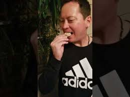 Like many of the other organs in your body, your liver is also susceptible to developing disease, which. Try It Tuesday Mousse De Foie De Canard Au Porto Duck Liver And Pork Mousse Youtube