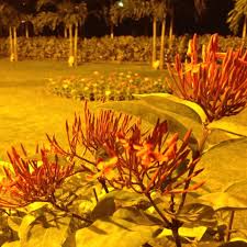 Large selection of flowers available to send such as lilies, orchids, carnations and classy roses to pakistan. Flowers Inside Marriott Hotel Karachi Pakistan Marriott Hotels Pakistan Karachi