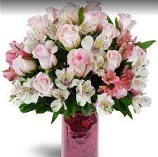 Check spelling or type a new query. Forest Of Flowers St Thomas