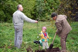 Alles zur pflanzzeit von obstbäumen erfahren sie hier. Obstbaum Pflanzen Darauf Kommt Es An