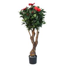 The species is hermaphrodite (has both male and female organs) and is pollinated by. Pure Garden 48 In Hibiscus Tree With Flowers 50 10018 The Home Depot