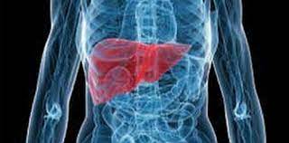 După o operație de îndepărtare a unei porțiuni din ficat, de cât timp este nevoie pentru regenerarea acestui organ? Durerile De Ficat È™i Genunchi Durere Dreapta La Sold