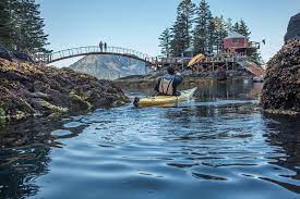 Maybe you would like to learn more about one of these? Orca Island Cabins Updated 2021 1 Bedroom Yurt In Seward With Patio And Terrace Tripadvisor