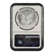 Image result for Sterling Silver 1991 Monaco