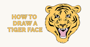 Download high quality tiger head clip art from our collection of 41,940,205 clip art graphics. How To Draw A Tiger Face In A Few Easy Steps Easy Drawing Guides Tiger Face Easy Drawings Easy Tiger Drawing