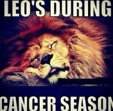 Birthday Coming Up Meme Leo Leo Season Meme Part 2 Funny Pics Quotes Sayings On Pinterest Tgif Happy Friday Leo Season Leo Leo Zodiac Facts