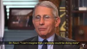 As America Gears Up To Vote, Misinformation Campaigns Peak To New Heights