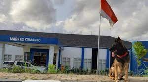 Formasi Pawang Anjing Pelacak Cpns 2019 Badan Narkotika Nasional Bnn Pekerjaan Markas Gajinya Jadwal Dan Syarat Seleksi Cpns Pppk Provinsi Kabupaten Kota Kementerian Formasi Tahun 2021