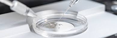 Reproduktionsmedizin — die reproduktionsmedizin beschäftigt sich mit der natürlichen und assistierten fortpflanzung und ihren störungen. Zentrum Fur Reproduktionsmedizin Und Andrologie