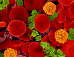 We did not find results for: Cells Why Shape Matters Www Scienceinschool Org