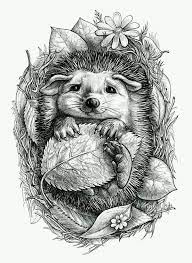 epingle par maelyys vernay sur printables 6 herisson dessin coloriage animaux de hulk