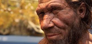 Neanderthals ran a fat factory in Germany