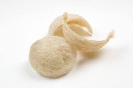 Kami menemukan sarang burung ini di sebuah pohon pinggir momen seru mengintif 20 sarang burung pentet sekaligus terimakasih banyak untuk para sahabat. Manfaat Kesehatan Sarang Burung Walet Dan Tips Memilihnya