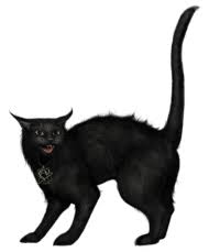Download Creepy Black Cat Png Images Background Png Free Png Images Black Cat Cats Creepy