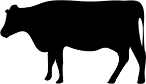 Maybe you would like to learn more about one of these? Cattle Png Transparent Images Png All