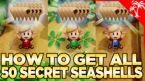 Bird Key Link S Awakening Switch How To Get All 50 Secret Seashells In Link S Awakening Switch Youtube