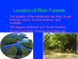 While nine countries (angola, cameroon, central african republic, democratic republic of the. By Breauna Castelluccio And Noah Lopez Tropical Rainforests Ppt Download