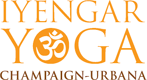 Even if you go to the flow classes the instructors are great at providing modified poses. Iyengar Yoga Champaign Urbana