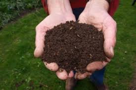 Un sol dit calcaire ou alcalin contient entre 15 et 30 % de carbonate de chaux (craie) ! Quelles Sont Les Procedures A Suivre Pour Obtenir Un Sol Riche En Humus