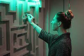 Met Een Magneet Een Stukje Ijzer Door Een Doolhof Brengen Escape Room Puzzles Escape Room Escape Room Game